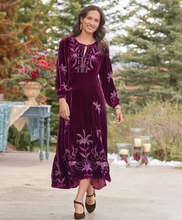 Load image into Gallery viewer, Johnny Was Palmira Silk Velvet Dress