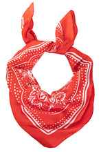 Load image into Gallery viewer, Silky Paisley Bandana - Various Colors
