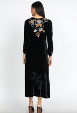 Load image into Gallery viewer, Johnny Was Bianca Velvet Maxi Dress - XS

