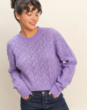 Load image into Gallery viewer, Carmella Iris Sweater
